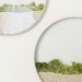 Kim Fisher, Circular Planters, wallhanging planters, hanging indoor garden, round wall planters, transparent planters for walls, wall terrariums